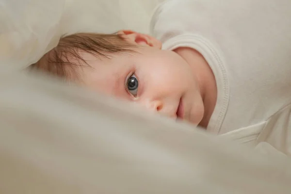 Adorable Bebé Dos Meses Envuelto Tela Blanca — Foto de Stock