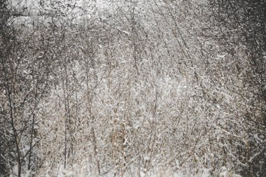 Eski duvar dokusu arkaplanı