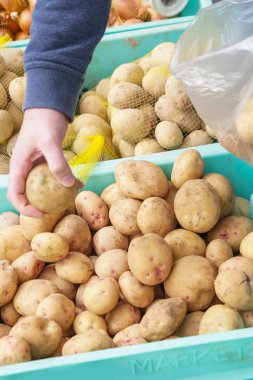 Patates, Pazar alış