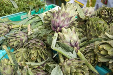 Kasalar, çiftçi pazarda taze enginar