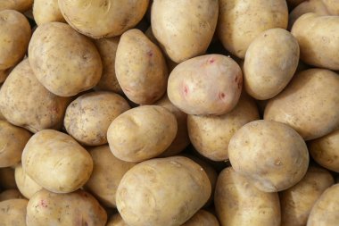 Sandık çiftçilere piyasa üzerinde taze patates