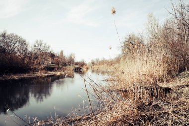 Güneşli, retro tarzı nehirde kuru kamışı