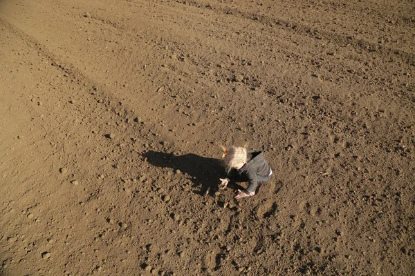 Милая девочка, играющая с грязью на плоском участке сельскохозяйственного участка. — стоковое фото
