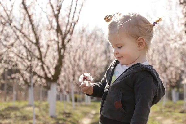 Menina bebê desfrutando de um dia no pomar florescente, um fim de semana em t — Fotografia de Stock