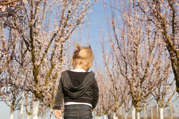 Baby Mädchen genießt einen Tag im blühenden Obstgarten, ein Wochenende in t — Stockfoto