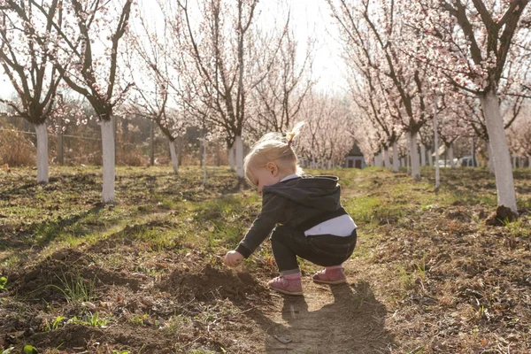 Baby girl enjoying a day in the blooming orchard, a weekend in t — Stock Photo, Image