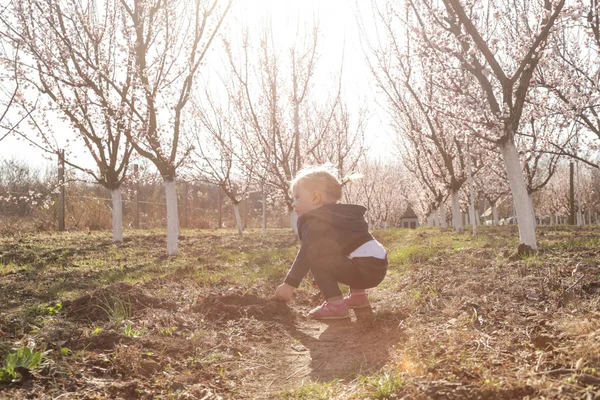 Baby meisje genieten van een dag in de bloeiende boomgaard, een weekend in t — Stockfoto