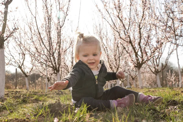 Menina bebê desfrutando de um dia no pomar florescente, um fim de semana em t — Fotografia de Stock