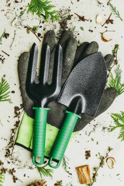 Temel bahçe seti. Bahçe Mala, tırmık ve dallar ile parlıyor