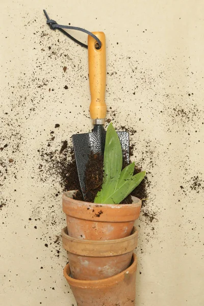 园艺工具的工作室镜头。锅、园艺铲子和土壤 — 图库照片