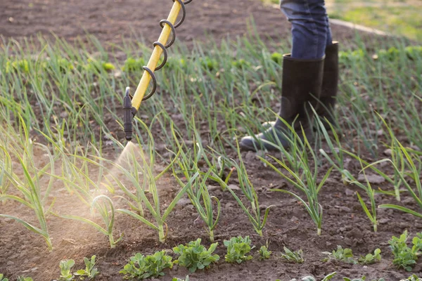 Trabalhador Agrícola Com Equipamento Pulverização Jardim — Fotografia de Stock