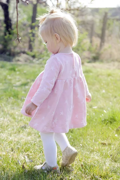 Adorable Baby Girl Pink Dress Enjoying Summer Day Garden Weekend — Stock Photo, Image