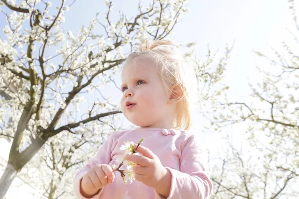 Bedårande Bebis Flicka Rosa Klänning Njuter Dag Blommande Fruktträdgård Helg — Stockfoto