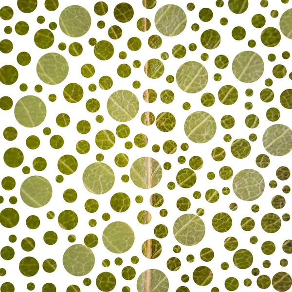 緑色のドットを持つ抽象的な水玉模様 — ストック写真