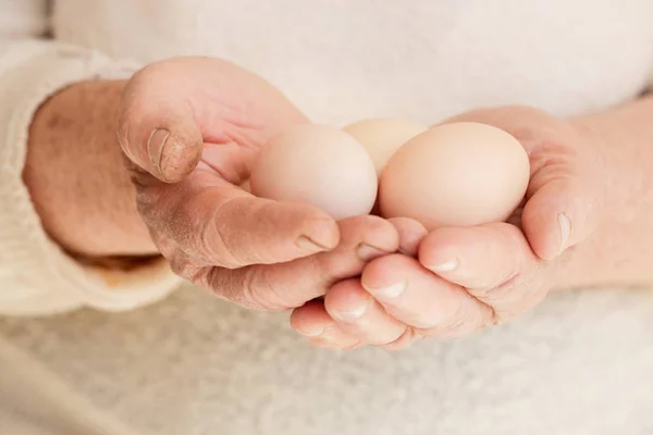 在手中的鸡鸡蛋 — 图库照片