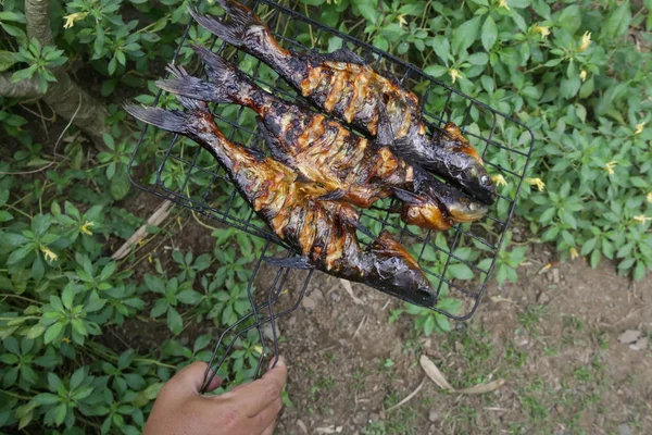 Preparation of fresh fish on the barbecue