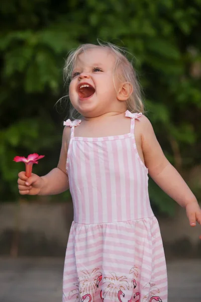 Menina Bonito Vestido Rosa Segurando Uma Flor Rosa Retrato Livre — Fotografia de Stock