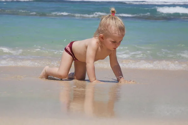 Милая Маленькая Девочка Ползает Песчаному Пляжу — стоковое фото