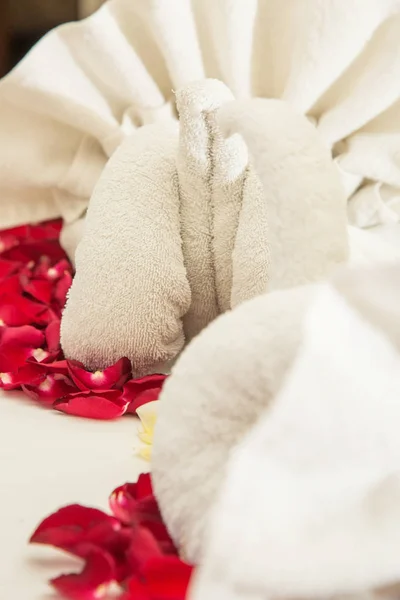 Lüks Otel Odası Balayı Dekorasyonu Havlu Kuğular Yatakta Gül Çiçekleri — Stok fotoğraf
