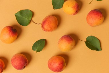 Turuncu bir arka plan üzerinde Kayısı, olgun kayısı ve yapraklarıdüz yatıyordu görüntü