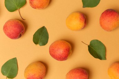 Turuncu bir arka plan üzerinde Kayısı, olgun kayısı ve yapraklarıdüz yatıyordu görüntü