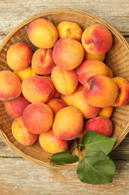 Masada kase taze hasat kayısı üst görünümü