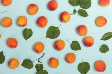 Mavi bir arka planda kayısı, düz olgun kayısı ve yaprakları görüntü yatıyordu