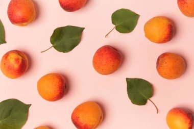 Pembe bir arka planda kayısı, düz olgun kayısı ve yaprakları görüntü yatıyordu