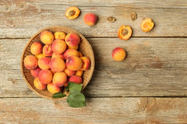 Masada kase taze hasat kayısı üst görünümü