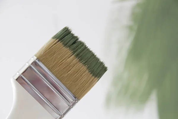 Process Painting Wall Green Color Paintbrush Close Diy House Improvement — Stock Photo, Image