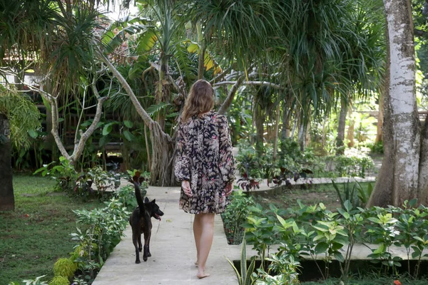 Вид Ззаду Босоніж Жінка Йде Через Тропічний Сад Своєю Собакою — стокове фото