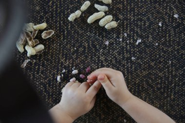 Çocuk elleri ve mutfak masasında kabuklu fıstıklar.