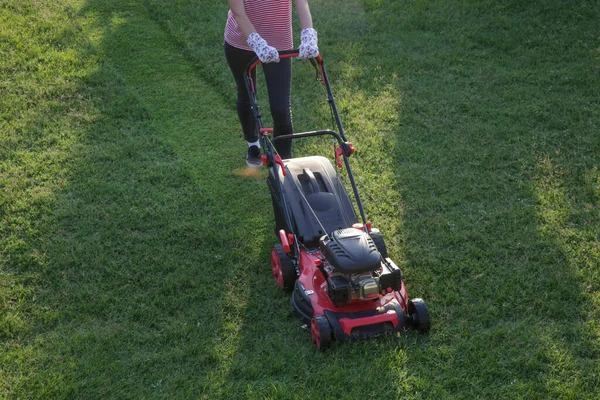 Junge Frau Mäht Gras Mit Rasenmäher Konzept Für Hausarbeit Freien — Stockfoto