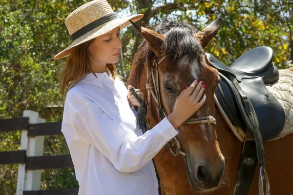 漂亮的年轻女人在照顾她的马 — 图库照片