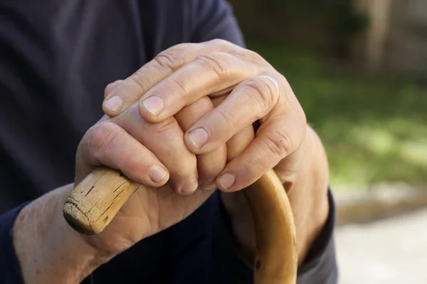Elderly Womans Hands Holding Wooden Walking Stick — Stock Photo, Image