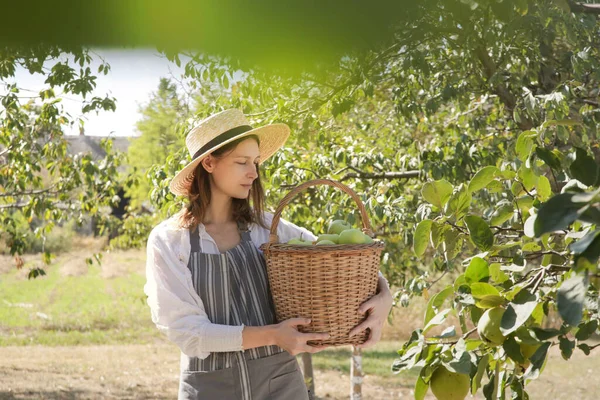 Een Jonge Vrouw Die Rijpe Groene Appels Verzamelt Een Mooie — Stockfoto