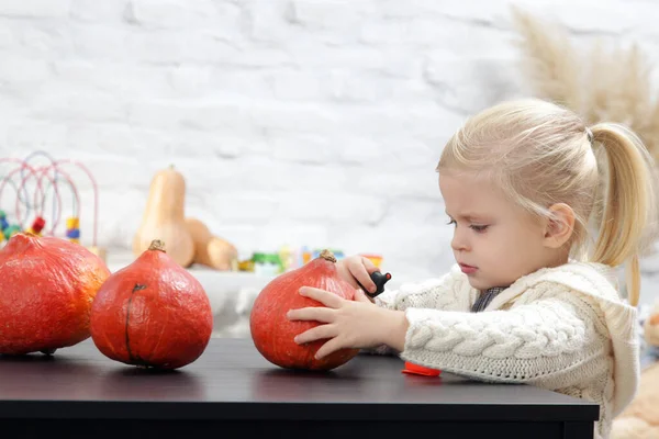 Schattig Klein Meisje Dat Met Halloween Decoraties Speelt Herfst Doe — Stockfoto