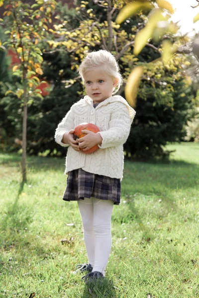 Adorable Little Girl Holding Pumpkin Garden Autumn Season Country Side — Stock Photo, Image
