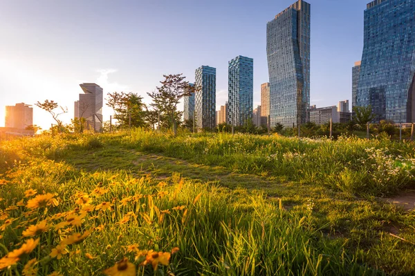 Ciudad Seúl Con Hermoso Atardecer Parque Central Distrito Negocios Internacionales — Foto de Stock