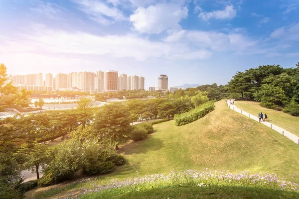 Seul cidade no verão e no parque, edifício da torre da cidade em Seul , — Fotografia de Stock