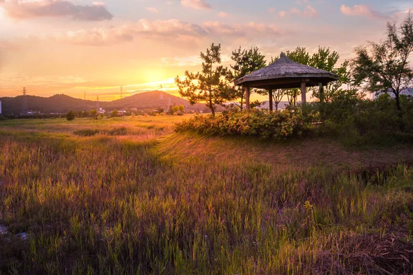 Sorae ekologi våtmarkspark, vacker solnedgång och traditionell — Stockfoto
