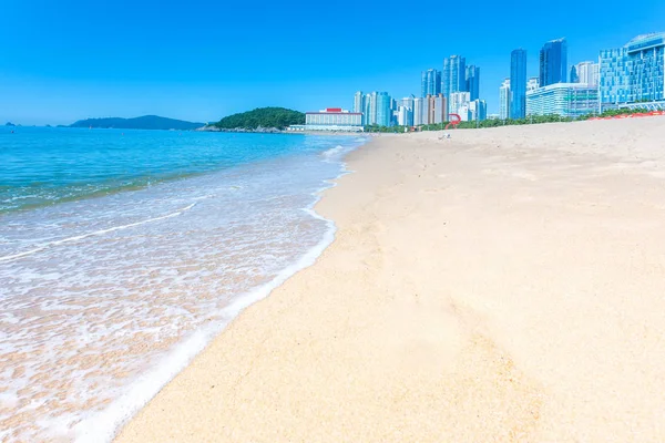 Sea beach blue sky sand sun daylight relaxation landscape — Stock Photo, Image