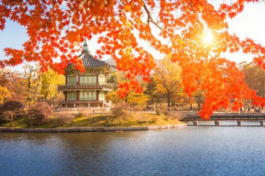 Maple yaprakları ve eski pavyon gelenekleriyle Gyeongbokgung Sarayı