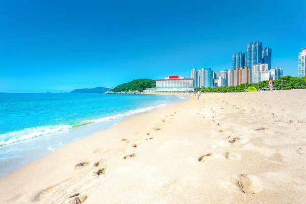 Haeundae Strand Tenger Napfény Napos Pihenés Táj Kilátás Nyáron Busan — Stock Fotó