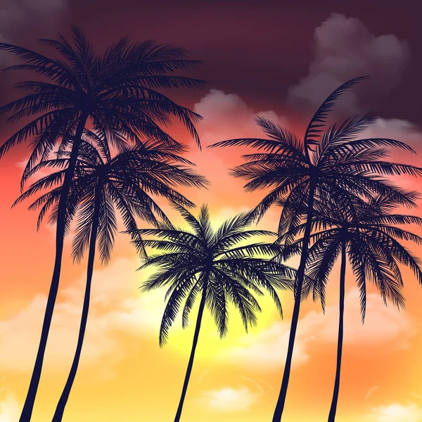 Fondos Tropicales Verano Con Palmeras Cielo Puesta Sol — Vector de stock