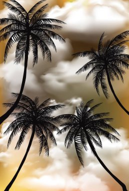 Hindistan cevizi palmiye ağaçlarının gün batımı manzarası