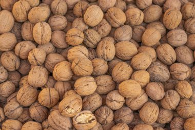 Satılık taze cevizler sepette hazır.