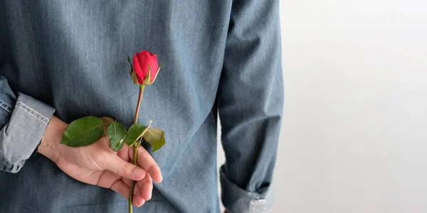 День Святого Валентина концепція, Задня сторона людини тримає червону троянду на WH — стокове фото