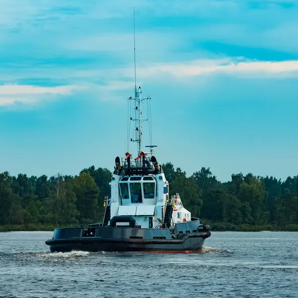 Siyah Römorkör Gemi Terminal Kargo Taşıma Endüstriyel Hizmet — Stok fotoğraf