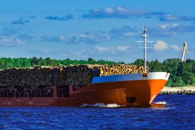 Açık yaz günde yelken turuncu toplu taşıyıcı